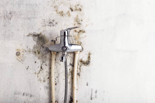 Best Water Damage Restoration  in Chocowinity, NC